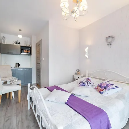 Wioletta 야스타르니아